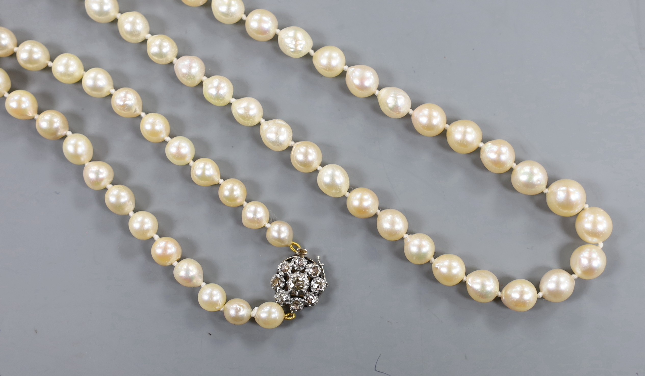 A single strand cultured pearl necklace, with diamond cluster set yellow and white metal clasp, 66cm.
